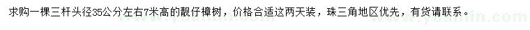求購(gòu)高7米樟樹(shù)
