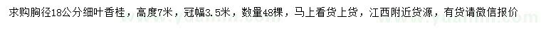 求購胸徑18公分細葉香桂