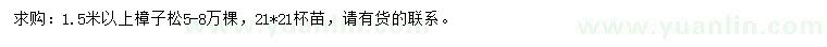 求購1.5米以上樟子松