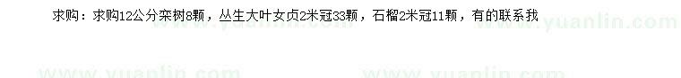 求購(gòu)欒樹(shù)、叢生大葉女貞、石榴