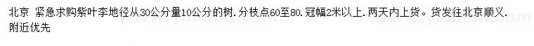 求購(gòu)地徑30公分量10公分紫葉李