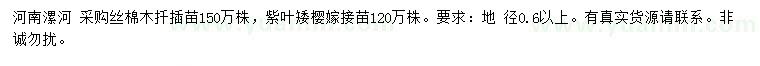 求購地徑0.6公分以上絲棉木、紫葉矮櫻