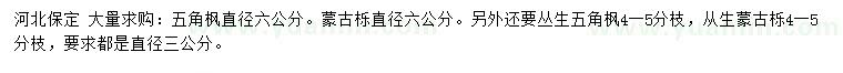 求購直徑6公分五角楓、蒙古櫟、3公分叢生五角楓、叢生蒙古櫟