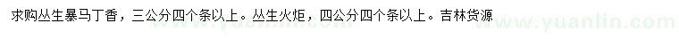 求購(gòu)3公分叢生暴馬丁香、4公分叢生火炬