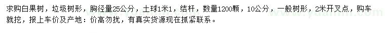 求購胸徑量10、25公分白果樹