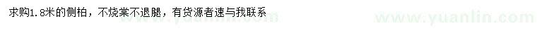 求購1.8米側(cè)柏
