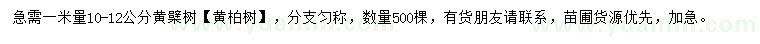 求購1米量10-12公分黃檗（黃柏樹）