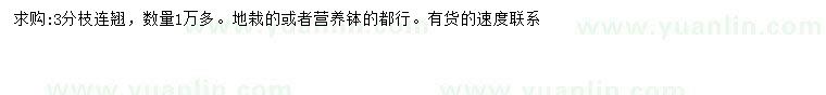 求購(gòu)3分枝連翹