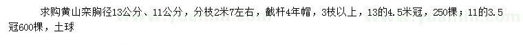 求購胸徑11、13公分黃山欒