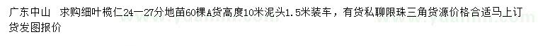 求購24-27公分細葉欖仁