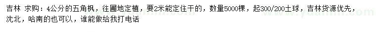 求購(gòu)4公分五角楓
