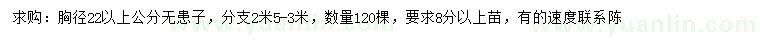 求購胸徑22以上公分無患子