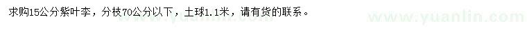 求購(gòu)15公分紫葉李