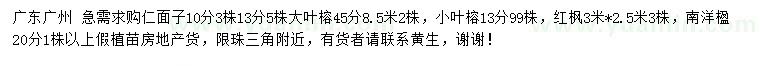求購仁面子、大葉榕、小葉榕等