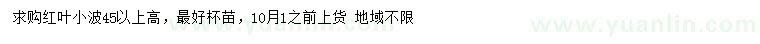 求購(gòu)高45公分以上紅葉小檗