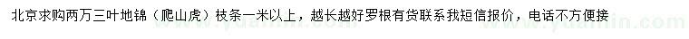 求購爬山虎