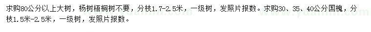 求購(gòu)30、35、40公分國(guó)槐