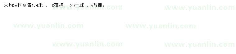 求購(gòu)1.4米法國(guó)冬青