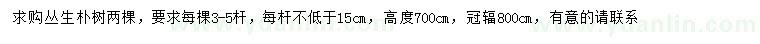 求購高度700公分叢生樸樹
