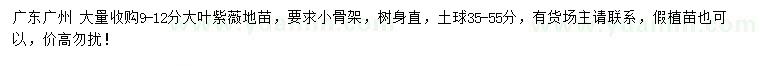 求購9-12公分大葉紫薇地苗