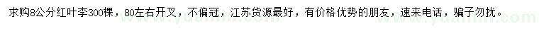 求購(gòu)8公分紅葉李