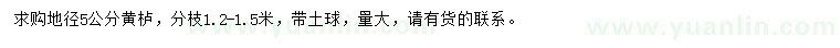 求購地徑5公分黃櫨