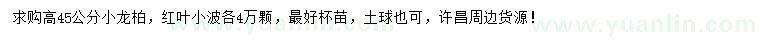 求購(gòu)高45公分小龍柏、紅葉小檗