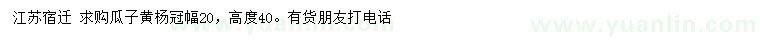 求購冠幅20公分瓜子黃楊