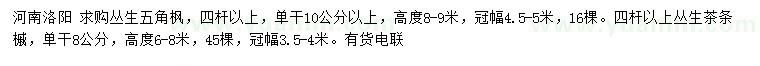 求購(gòu)高度8-9米叢生五角楓