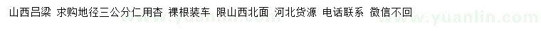 求購(gòu)地徑3公分仁用杏