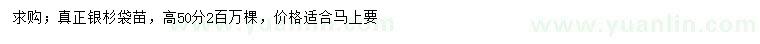 求購高50公分銀杉袋苗