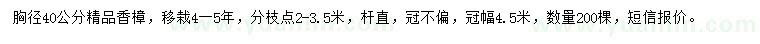 求購(gòu)胸徑40公分香樟