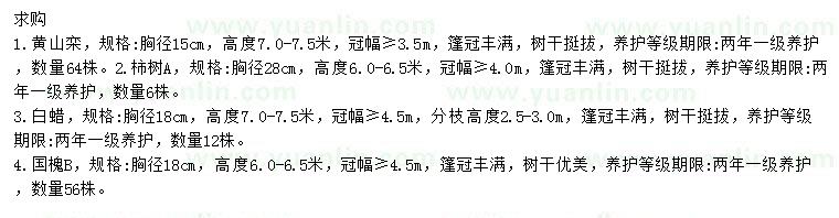 求購黃山欒、柿樹、白蠟等