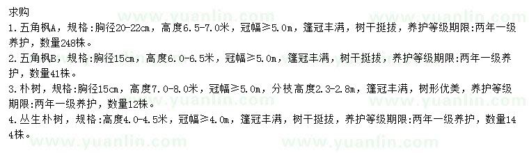 求購五角楓、樸樹、叢生樸樹