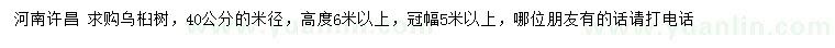 求購米徑40公分烏桕