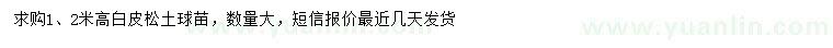 求購高1.2米白皮松