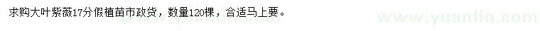 求購17公分大葉紫薇假植苗