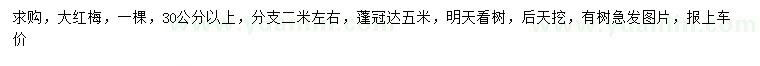 求購30公分以上大紅梅