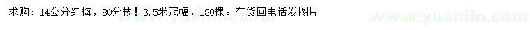 求購14公分紅梅