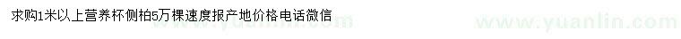 求購1米以上側(cè)柏