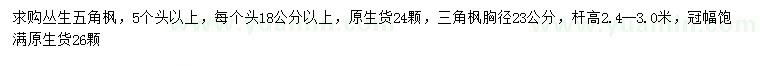 求購(gòu)5個(gè)頭以上叢生五角楓、胸徑23公分三角楓