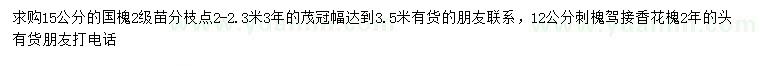 求購(gòu)15公分國(guó)槐、12公分刺槐