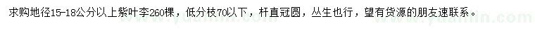求購地徑15-18公分以上紫葉李