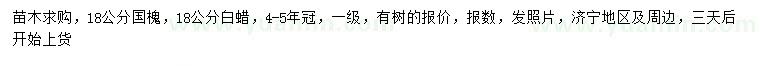 求購18公分國槐、白蠟