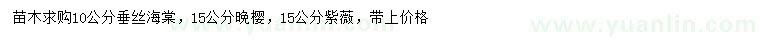 求購垂絲海棠、晚櫻、紫薇