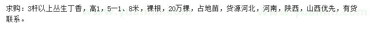 求購3桿以上叢生丁香