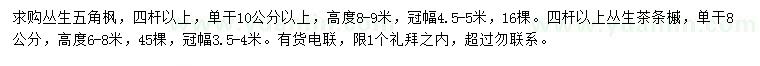求購(gòu)4桿以上叢生五角楓、叢生茶條槭
