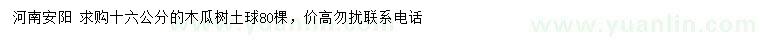 求購16公分木瓜樹