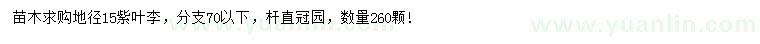 求購地徑15公分紫葉李