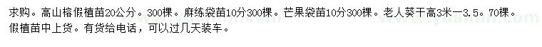 求購高山榕、麻楝、芒果等